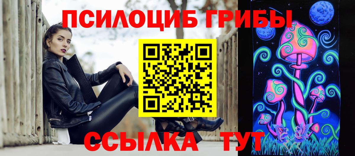 Псилоцибиновые грибы GOLDEN TEACHER Карабулак